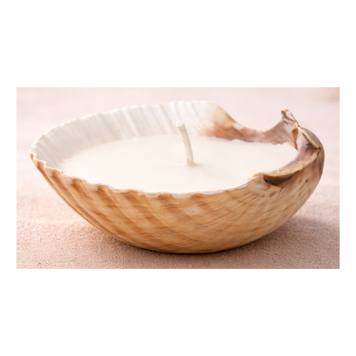 Seashell Soy Wax Perfume Candles Pack of 2 | Decorative Aroma Candles for Home, Pooja & Gifting - Image 3
