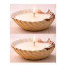 Seashell Soy Wax Perfume Candles Pack of 2 | Decorative Aroma Candles for Home, Pooja & Gifting
