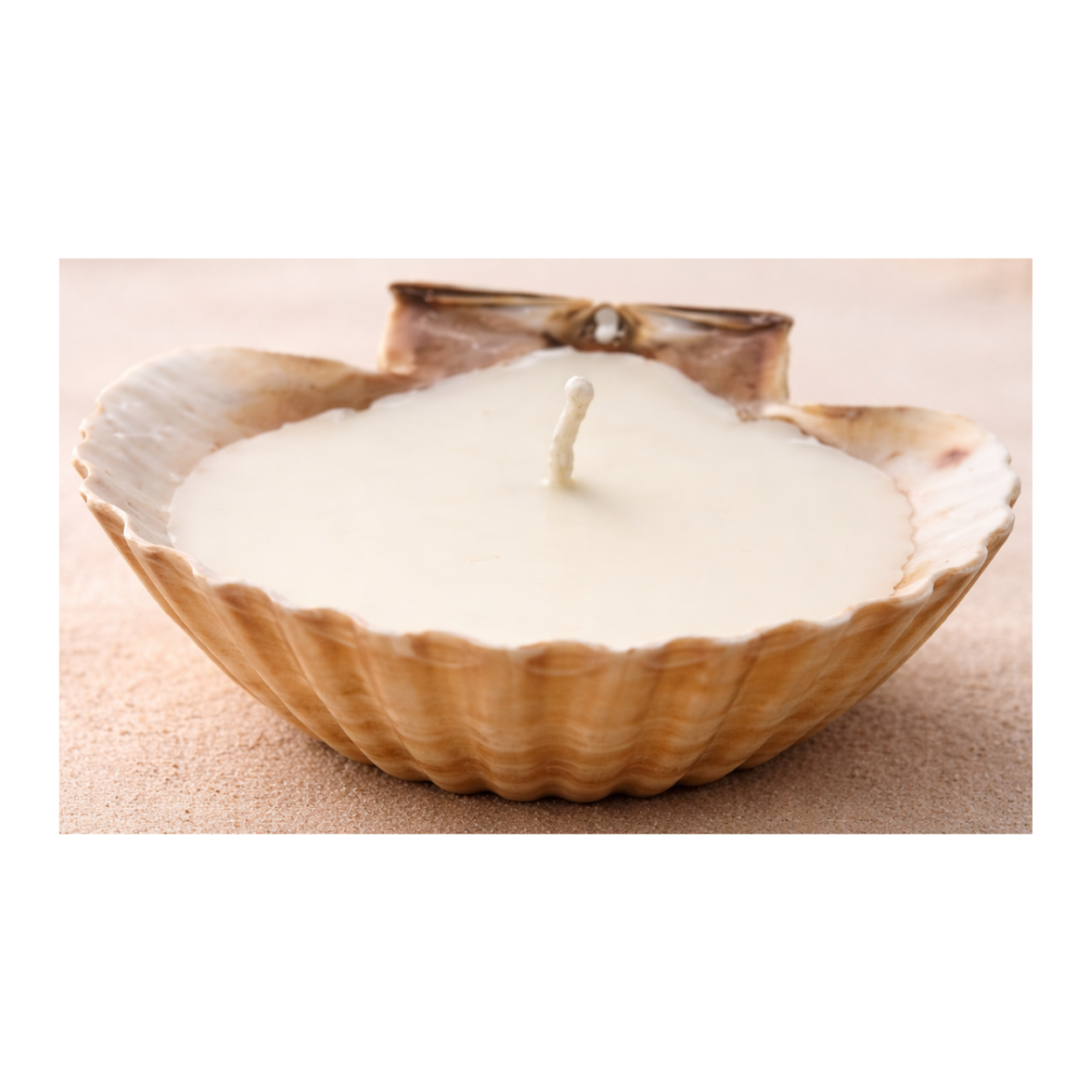 Seashell Soy Wax Perfume Candles Pack of 2 | Decorative Aroma Candles for Home, Pooja & Gifting - Image 2