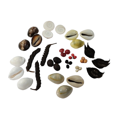 Pooja Combo Set -Cowries 4 items / Gomati Chakra / Gunja Seeds 5 items / Kamal Gatta /Maror phalli / Bat Head Roots /Total items 13 ) -Pack Of 39 Pcs / Each 3 Pcs - Image 2